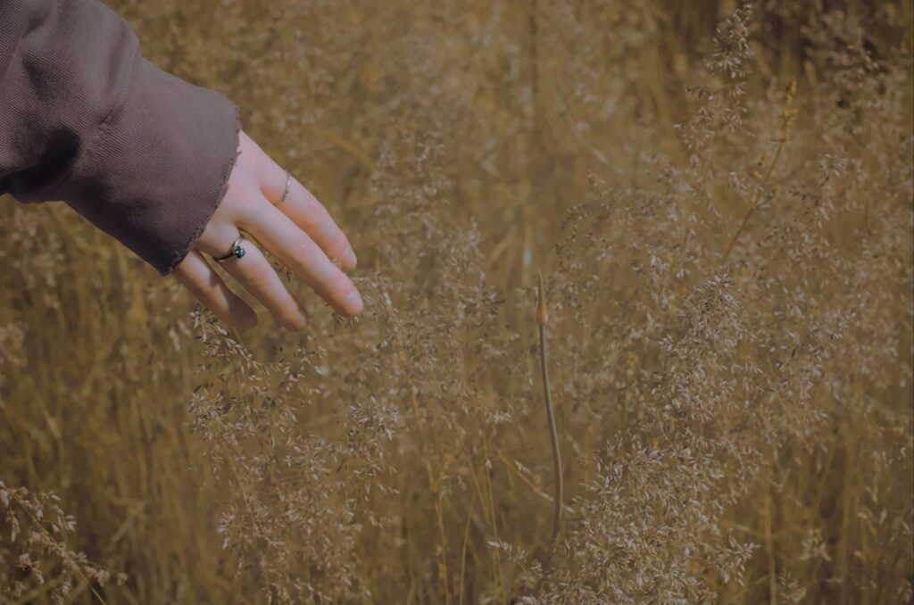 warren valentine vthi 6etfle unsplash